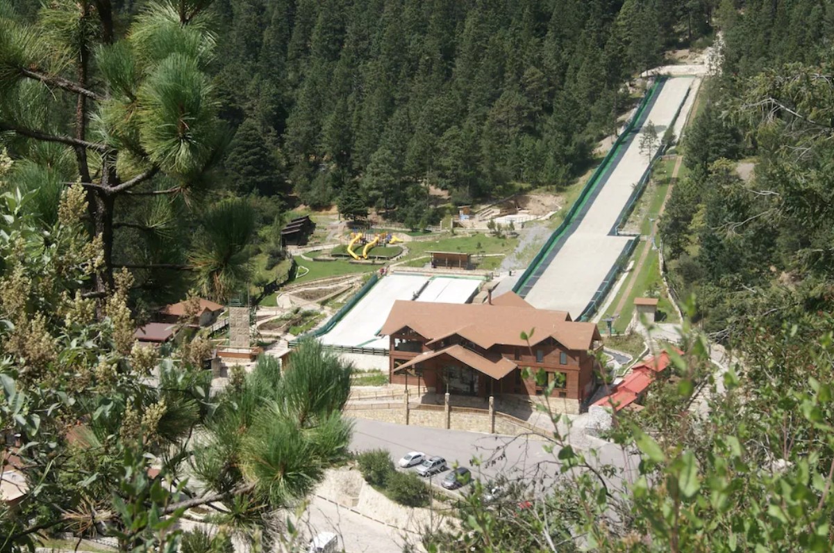 Forests of Monterreal, Arteaga